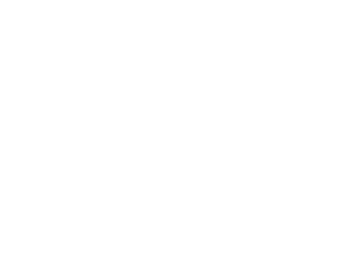 The secrets of dog training